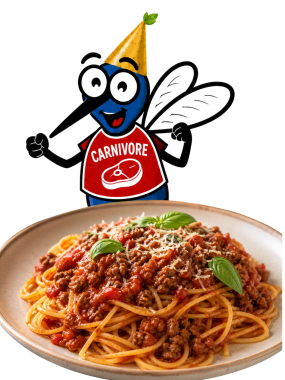 Repas spaghetti à la viande 2026